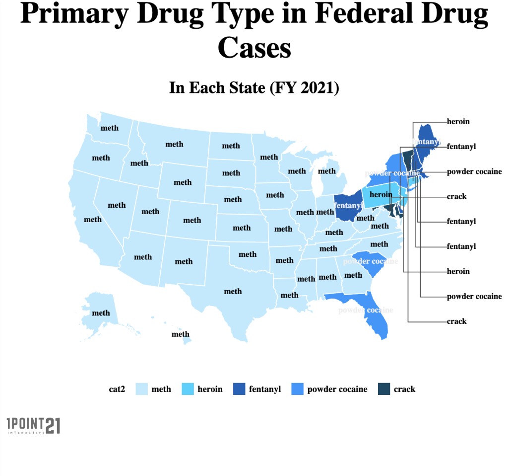 primary drug type in federal cases